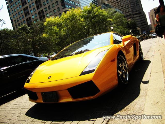 Lamborghini Gallardo spotted in Toronto, Canada