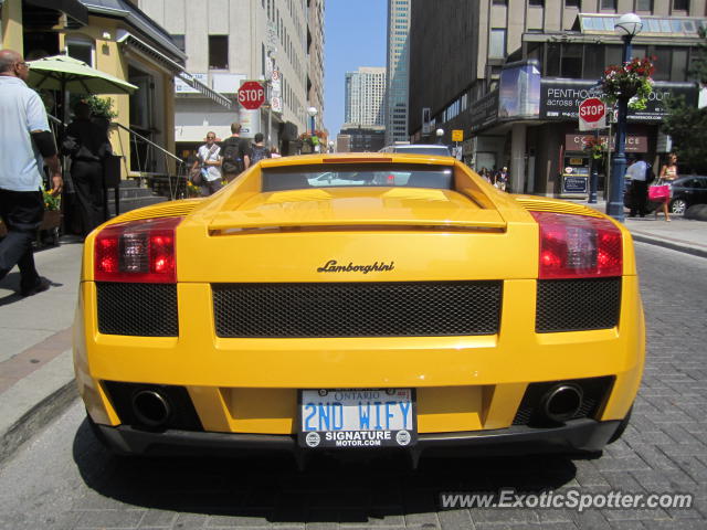 Lamborghini Gallardo spotted in Toronto, Canada