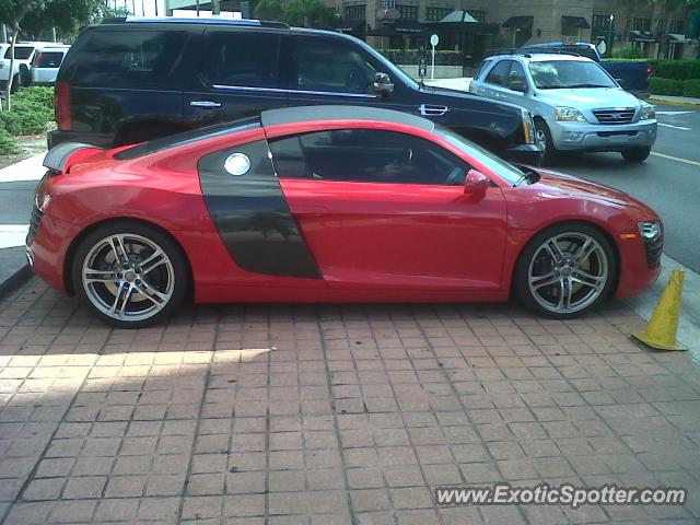 Audi R8 spotted in Tampa, Florida