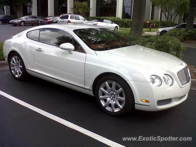 Bentley Continental spotted in Tampa, Florida