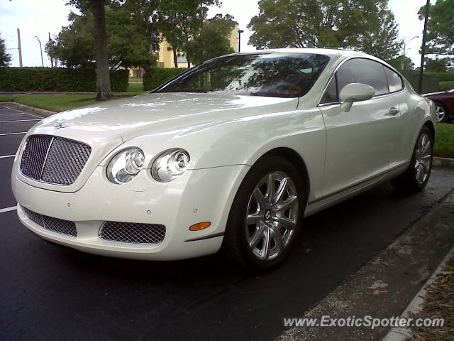 Bentley Continental spotted in Tampa, Florida