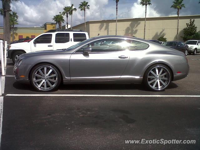 Bentley Continental spotted in Tampa, Florida