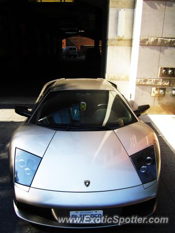 Lamborghini Murcielago spotted in Toronto, Canada