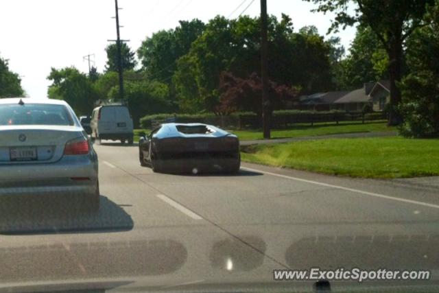 Lamborghini Aventador spotted in Louisville, Kentucky