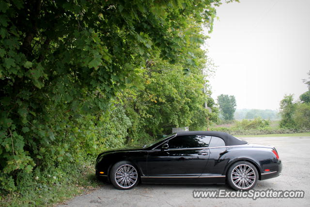 Bentley Continental spotted in Nassau, New York