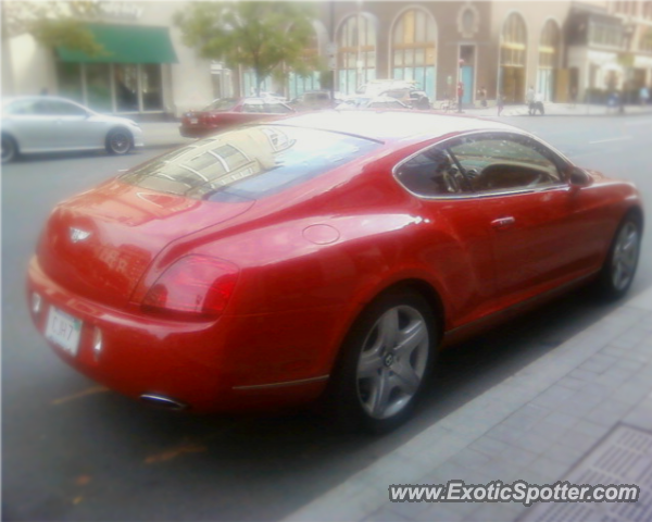 Bentley Continental spotted in Boston, Massachusetts