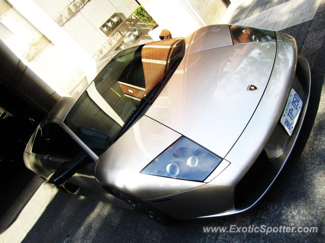 Lamborghini Murcielago spotted in Toronto, Canada