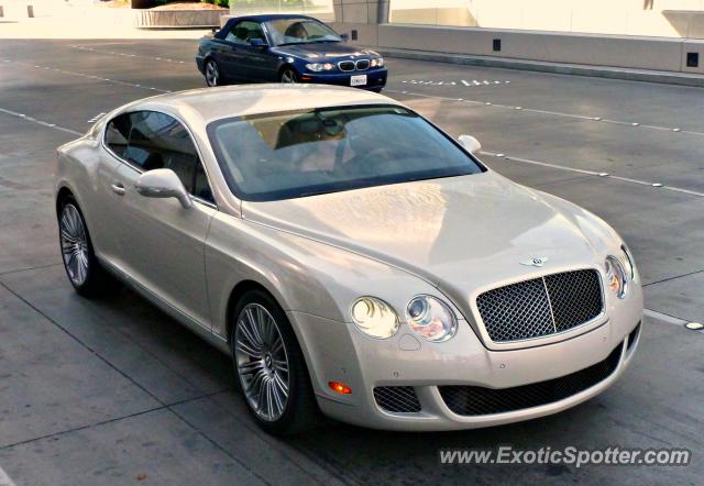 Bentley Continental spotted in Las Vegas, Nevada