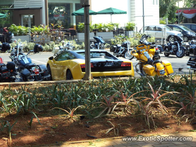 Lamborghini Gallardo spotted in Jakarta, Indonesia