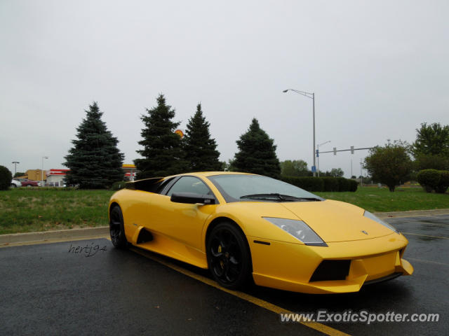 Lamborghini Murcielago spotted in Bolingbrook, Illinois