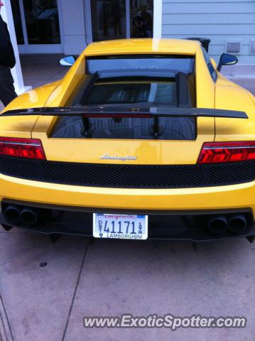 Lamborghini Gallardo spotted in Monterey, California