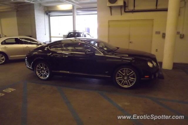 Bentley Continental spotted in Hollywood, California