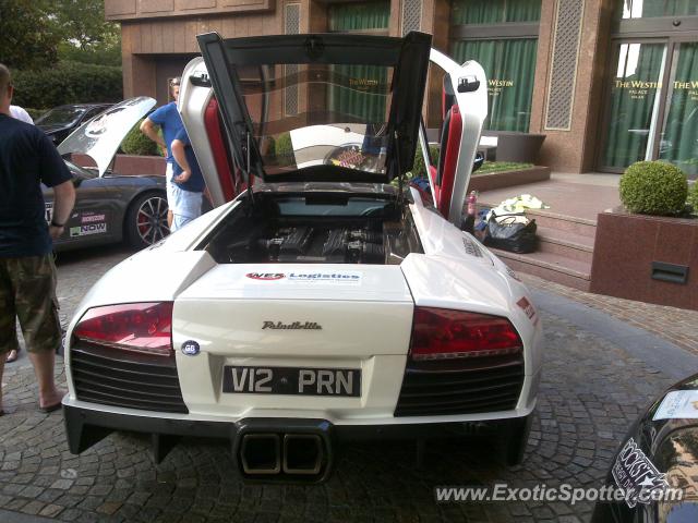 Lamborghini Murcielago spotted in Milano, Italy