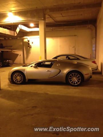 Bugatti Veyron spotted in Philadelphia, Pennsylvania