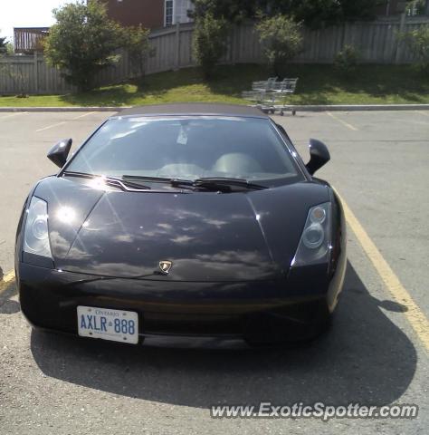 Lamborghini Gallardo spotted in Toronto, Ontario, Canada