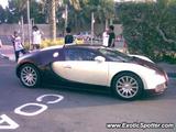 Bugatti Veyron