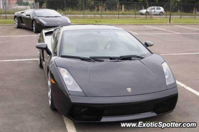 Lamborghini Gallardo spotted in Toronto, Canada