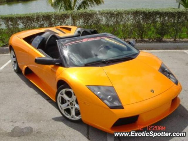 Lamborghini Murcielago spotted in Tampa, Florida