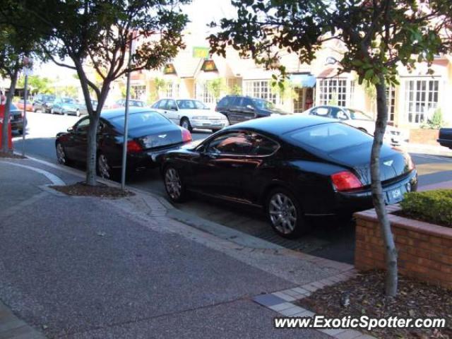 Bentley Continental spotted in Gold Coast, Australia