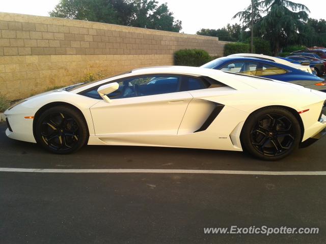 Lamborghini Aventador spotted in Paso Robles, California