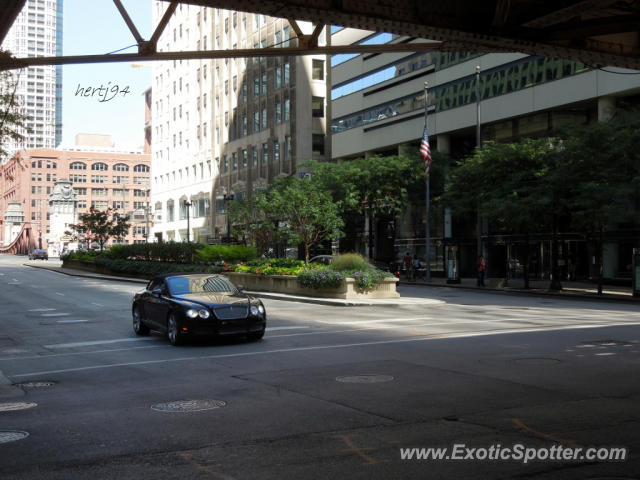 Bentley Continental spotted in Chicago, Illinois