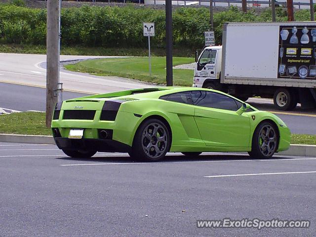 Lamborghini Gallardo spotted in Harrisburg, Pennsylvania