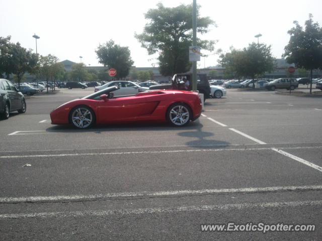 Lamborghini Gallardo spotted in Edgewater, New Jersey