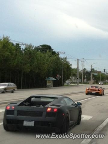 Lamborghini Gallardo spotted in Boca Raton, Florida