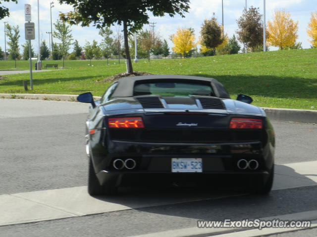Lamborghini Gallardo spotted in Toronto, Ontario, Canada