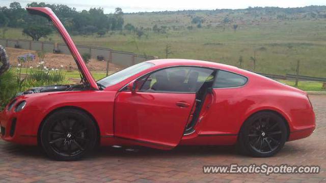 Bentley Continental spotted in Pretoria, South Africa