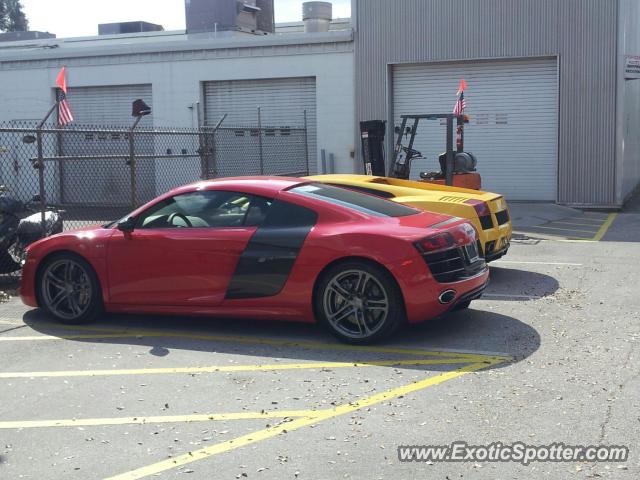 Audi R8 spotted in Tampa, Florida