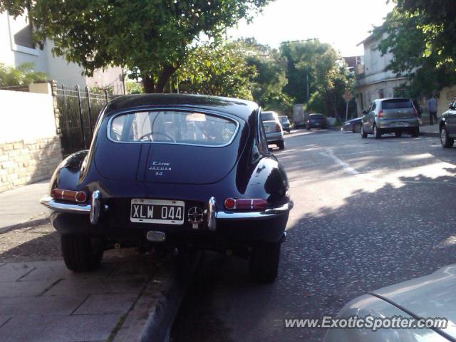Jaguar E-Type spotted in San Isidro, Argentina