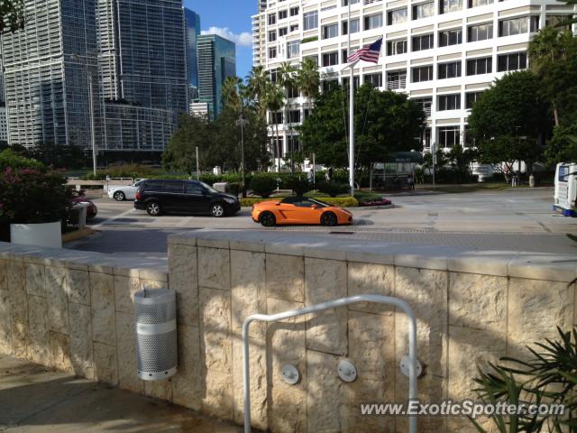 Lamborghini Gallardo spotted in Miami, Florida