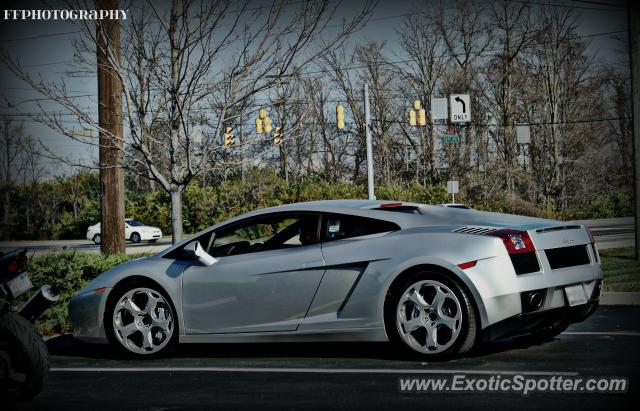 Lamborghini Gallardo spotted in Indianapolis, Indiana