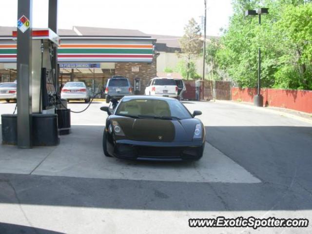 Lamborghini Gallardo spotted in Sandy, Utah