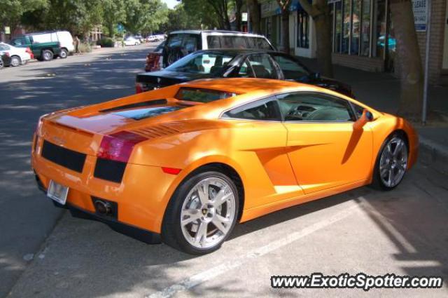 Lamborghini Murcielago spotted in Davis, California