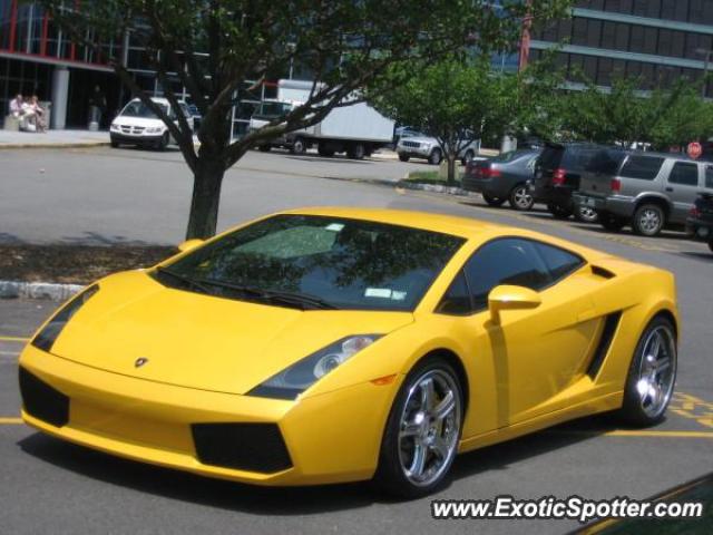 Lamborghini Gallardo spotted in Garden City, New York