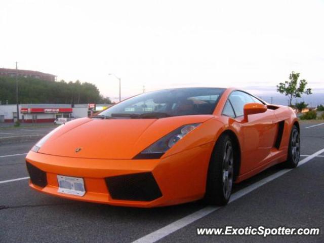 Lamborghini Gallardo spotted in Sudbury, Canada