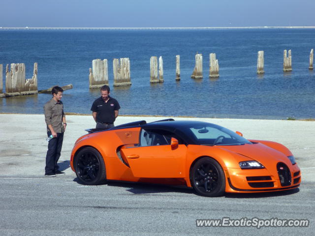 Bugatti Veyron spotted in Tampa, Florida