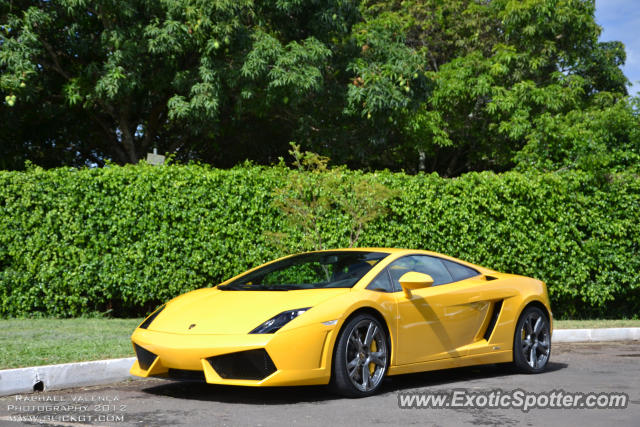 Lamborghini Gallardo spotted in Brasília, Brazil