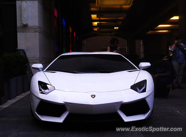 Lamborghini Aventador spotted in Toronto, Ontario, Canada