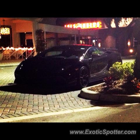 Lamborghini Gallardo spotted in Boca Raton, Florida