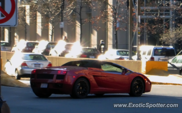 Lamborghini Gallardo spotted in Boston, Massachusetts