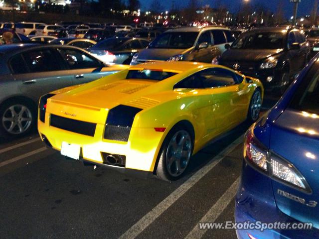 Lamborghini Gallardo spotted in Nashua, New Hampshire