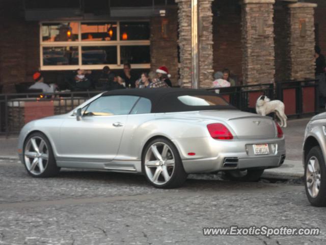 Bentley Continental spotted in Denver, Colorado
