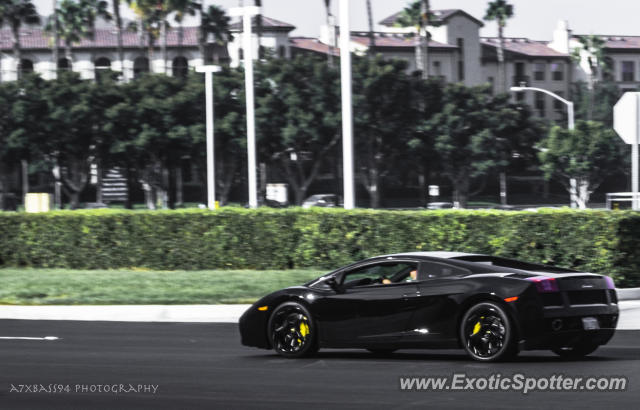 Lamborghini Gallardo spotted in Irvine, California