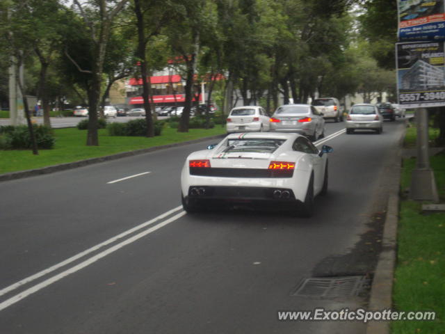 Lamborghini Gallardo spotted in México Ciity, Mexico