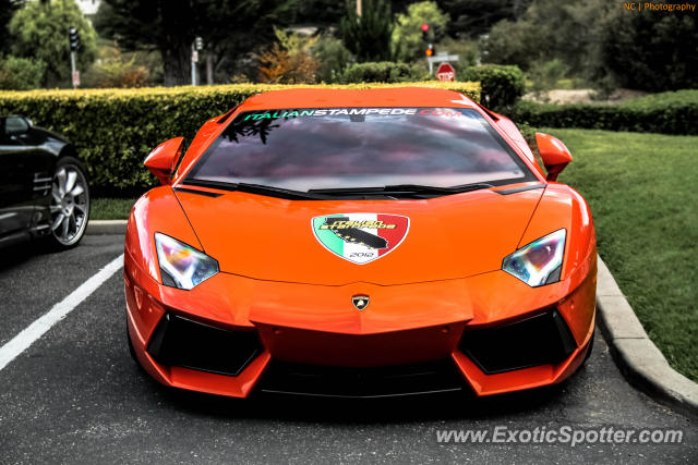 Lamborghini Aventador spotted in Monterey, California