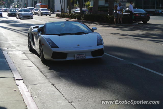 Lamborghini Gallardo spotted in Beverly Hills, California