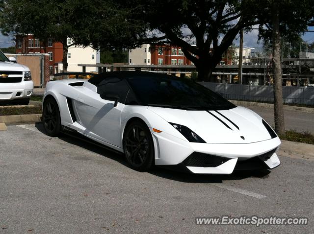 Lamborghini Gallardo spotted in Tampa, Florida